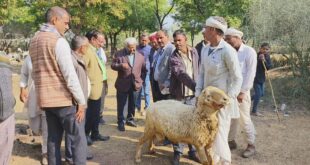 पशु स्वास्थ्य शिविर का किया आयोजन