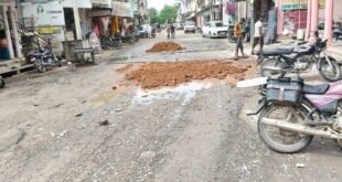 मालपुरा : खानापूर्ति पर अटकी पालिका की तैयारी,  जलझूलनी एकादशी पर ठाकुरजी का नगर भ्रमण व नोका विहार कल