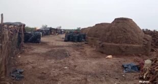 अवैध कोयला भट्टियों का आतंकः सालभर से धुआं बना जहर, हजारों हरे पेड़ों की बलि ?